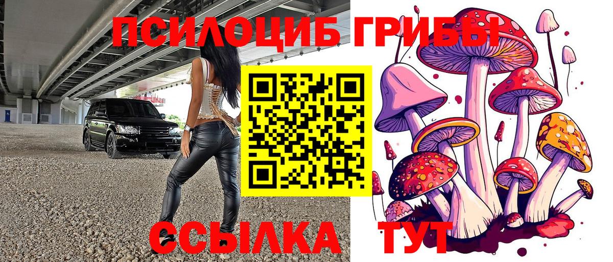 Галлюциногенные грибы прущие грибы Мурманск