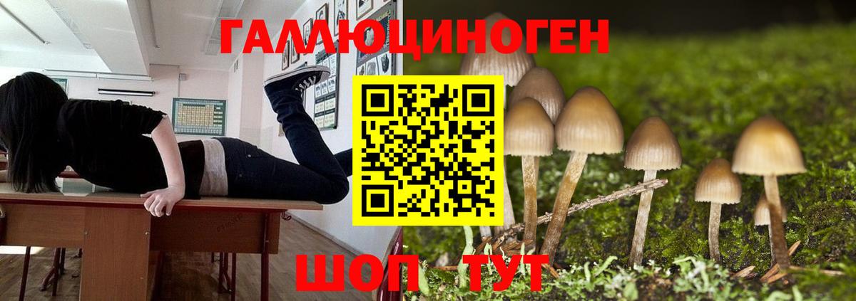 Галлюциногенные грибы Psilocybe  Вход с VPN  Мурманск 